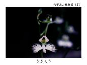 HL悤BcJ̉ԁBԁB
