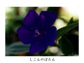 uWYBB9炫ANzĂ܂ō炢ĂB