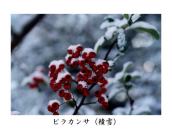 17N12̐ϐ᎞B